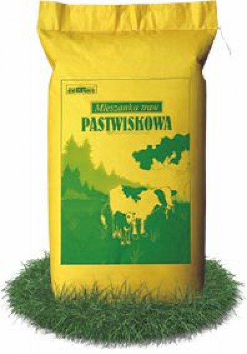 producent nasion traw pastewnych